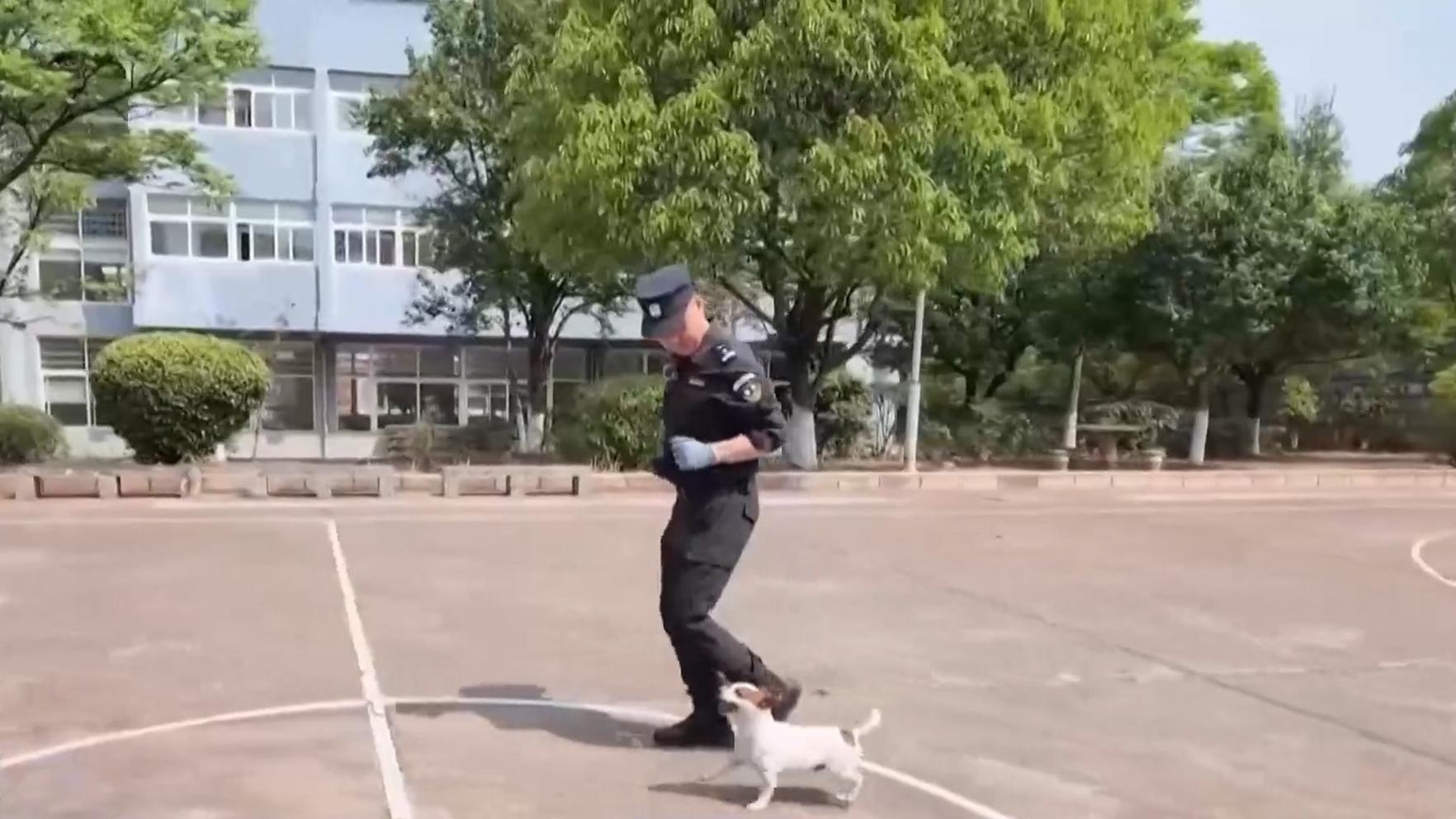 国乒创造队史亚锦赛最差成绩