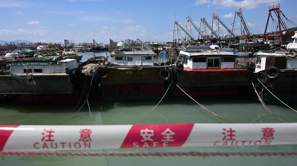 谢娜还是太超前了