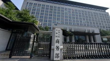 金星回应复婚