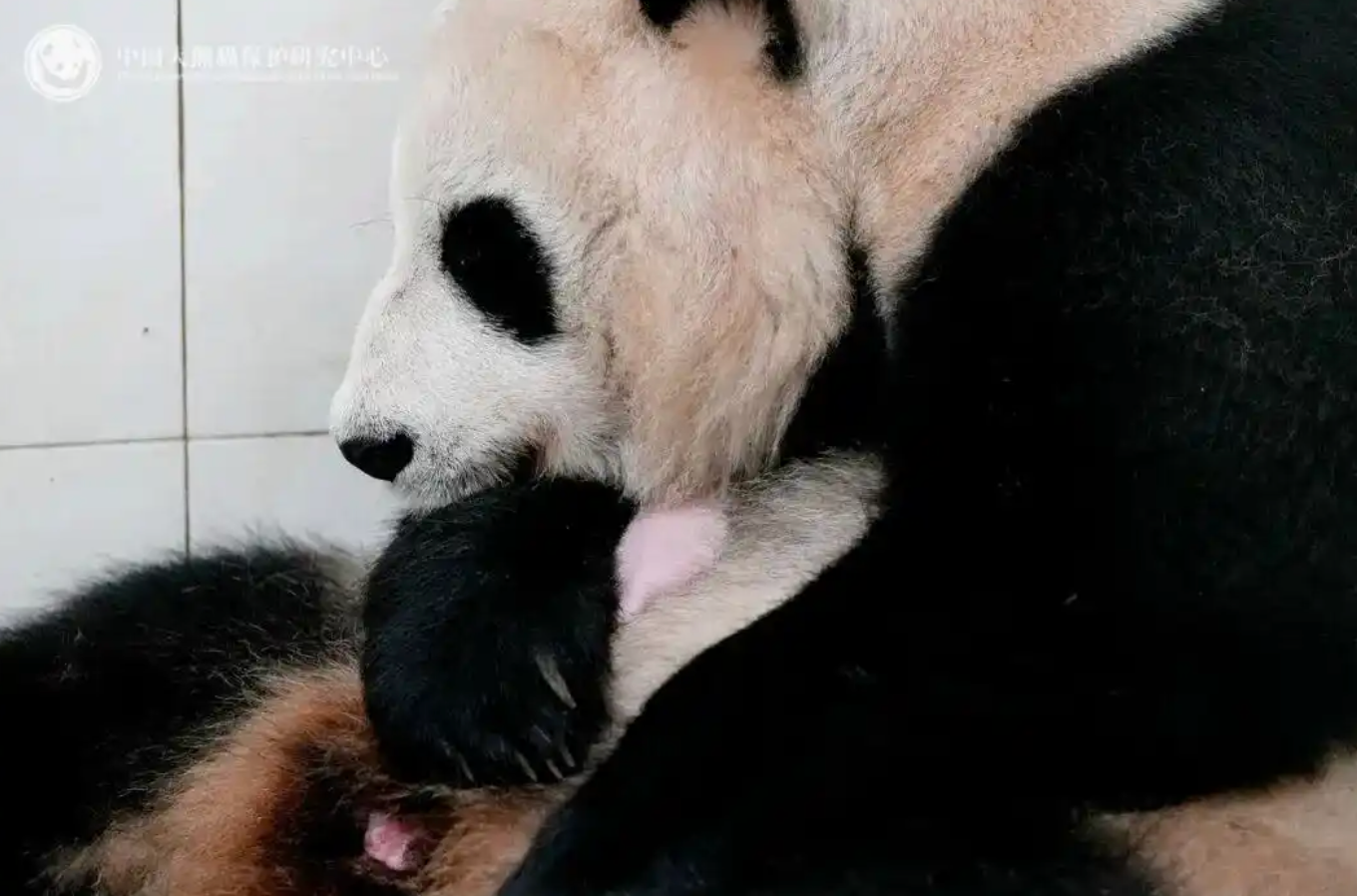 评论用户