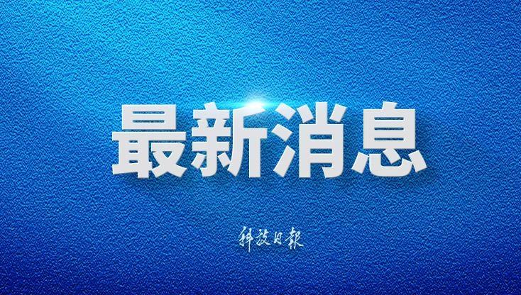 林诗栋比张本智和
