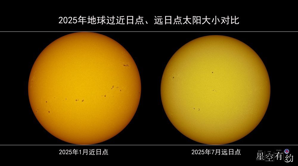 林诗栋张本智和