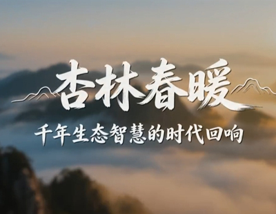 习近平会见孟加拉国总理塔里克