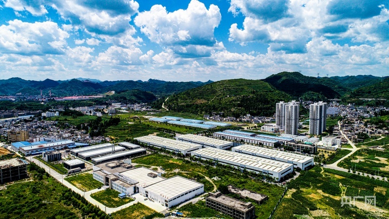 2026高考成绩今起陆续可查，多地公布志愿填报安排