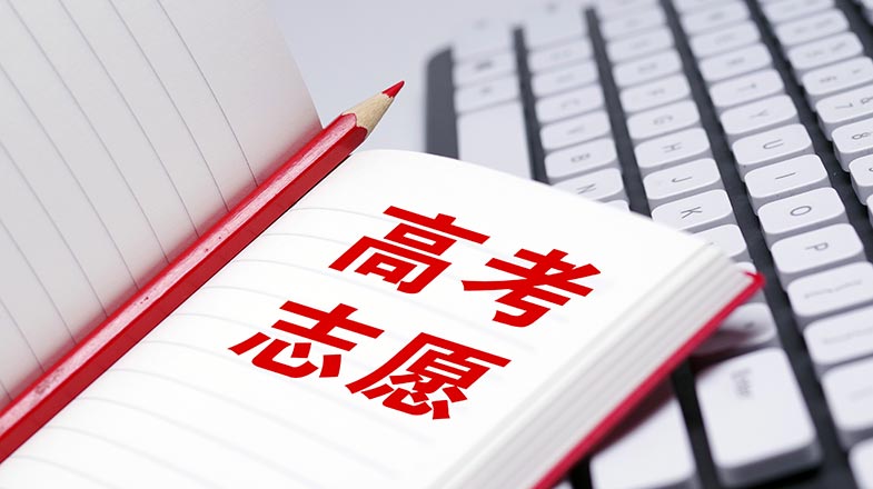 新闻分析：香港高校何以“闪亮”？