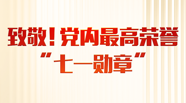 成全免费高清观看在线电视剧